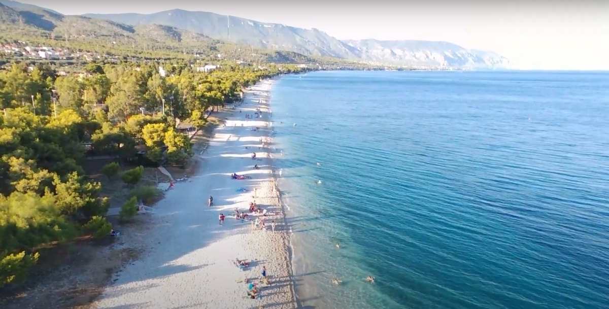 Εναέρια άποψη της παραλίας Πευκάκια με αμμουδιά, καταγάλανα νερά και πεύκα, στην περιοχή των Αγ. Θεοδώρων, Κορίνθου, όπου βρίσκεται το συγκρότημα Σύγχρονων Διαμερισμάτων, από την Hellenic Property.