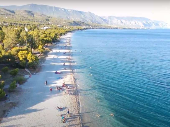 Εναέρια άποψη της παραλίας Πευκάκια με αμμουδιά, καταγάλανα νερά και πεύκα, στην περιοχή των Αγ. Θεοδώρων, Κορίνθου, όπου βρίσκεται το συγκρότημα Σύγχρονων Διαμερισμάτων, από την Hellenic Property.